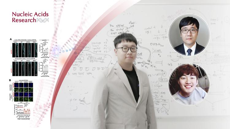 루게릭병 독성 단백질 생성 막는 신경세포보호 유전자 발견