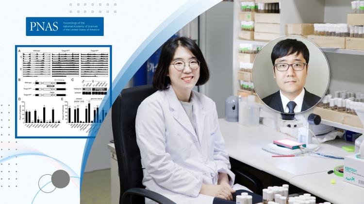 24시간 수면주기 조절하는 새로운 생체시계 유전자 발견