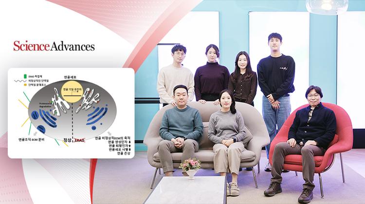 UNIST·아주대 의대 연구팀, 연골 퇴행성 손상 원인 규명