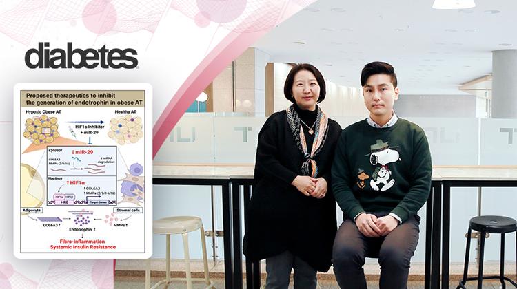 '비만형 당뇨' 잡는 유전물질 찾았다!... 비만 연관 각종 질환 치료 단초 제시