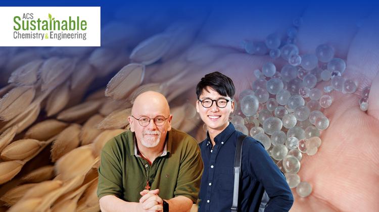 생체에 적용 가능한 왕겨 추출 실리카의 합성 조건 규명