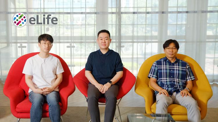 세포의 안테나, ‘섬모’ 옳게 만드는 유전자 찾다