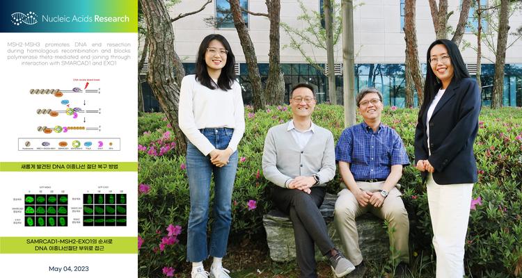 손상된 유전자 복구 위한 여러 복구 메커니즘의 상호작용 최초 확인