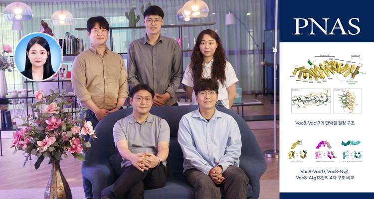 세포소기관의 자가포식과 수송, 한 개의 단백질로 조절한다!