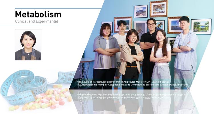 지방세포 자가포식 조절로 대사성질환 개선한다!