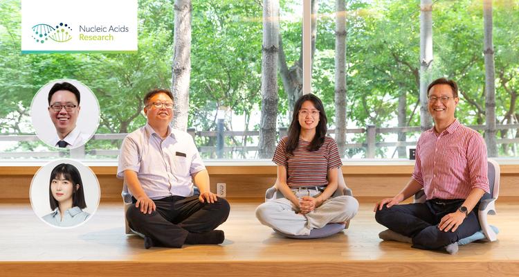 각종 질병 치료의 첫걸음, DNA 복제 스트레스 해소법 찾았다!