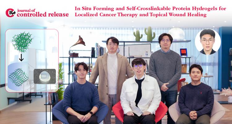 “항암제도 상처치료제도 쏙쏙 전달”.. 무독성 하이드로젤 개발