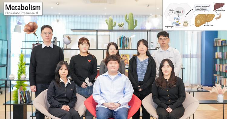 대사이상 지방간, 비타민만 먹어도 개선?.. 치료 표적 발굴
