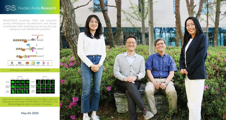 Researchers Solve Puzzle of How Cells Select DNA Damage Repair Pathways