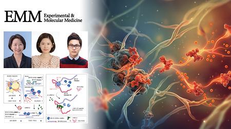 비만 대사질환 부르는 엔도트로핀, 천연약물로 생성 차단! 
