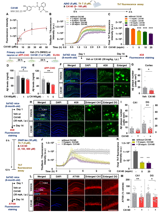 그림1. 도파민 유사체 CA140의 아밀로이드 플라크 축적 및 타우 단백질 과인산화 억제 효과