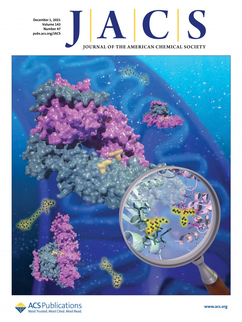 [연구그림] JACS 표지논문