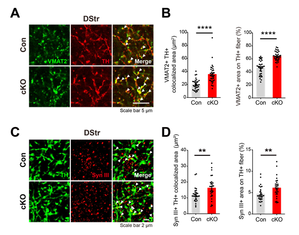 Figure 222