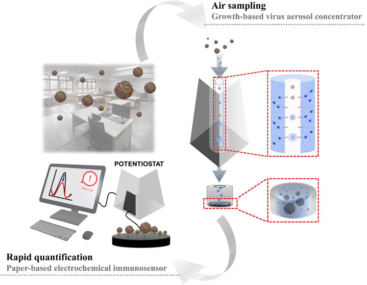 Figure 1. Schematic representation illustrating the key findings