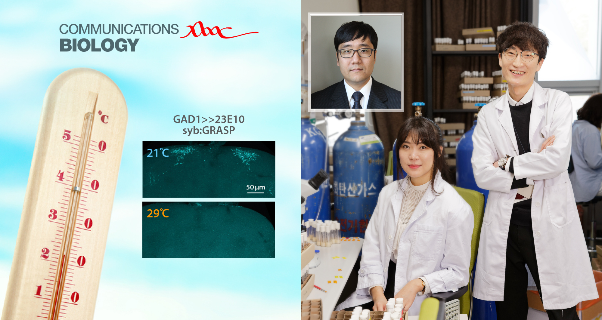 날씨가 따뜻해지면 뇌 속 ‘수면 회로’가 바뀐다