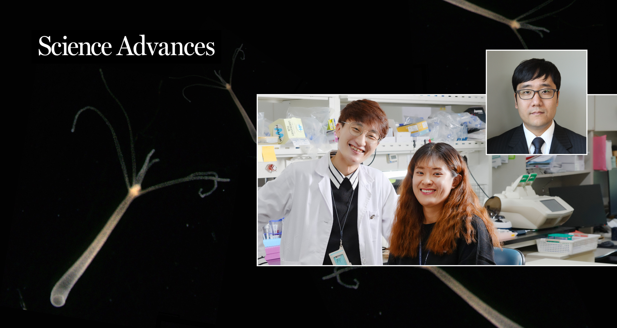 “뇌”가 없어도 잠을 잘 수 있다?