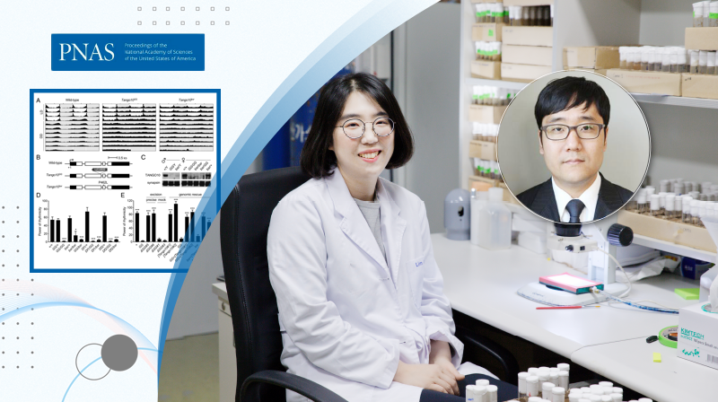 24시간 수면주기 조절하는 새로운 생체시계 유전자 발견