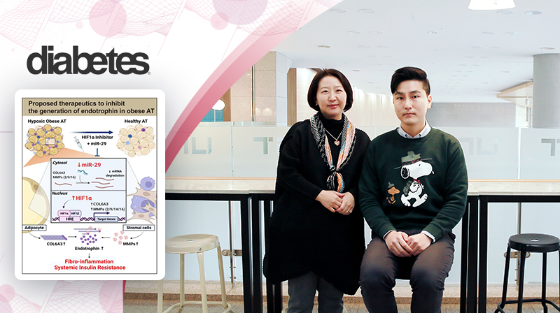 '비만형 당뇨' 잡는 유전물질 찾았다!... 비만 연관 각종 질환 치료 단초 제시