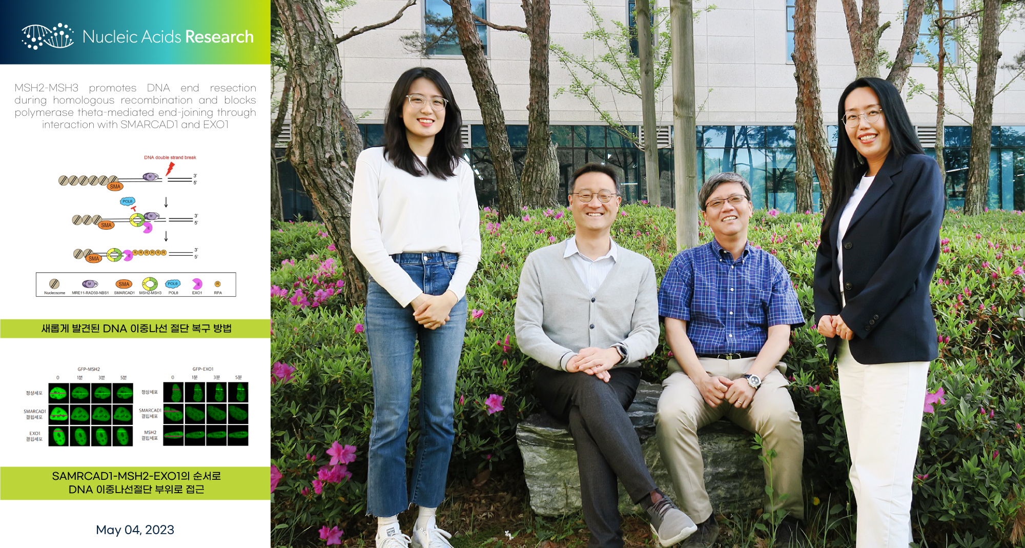 손상된 유전자 복구 위한 여러 복구 메커니즘의 상호작용 최초 확인