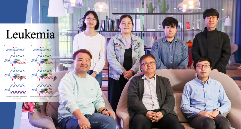 백혈병의 원인, 유전체 불안정성 증가 요인 찾았다