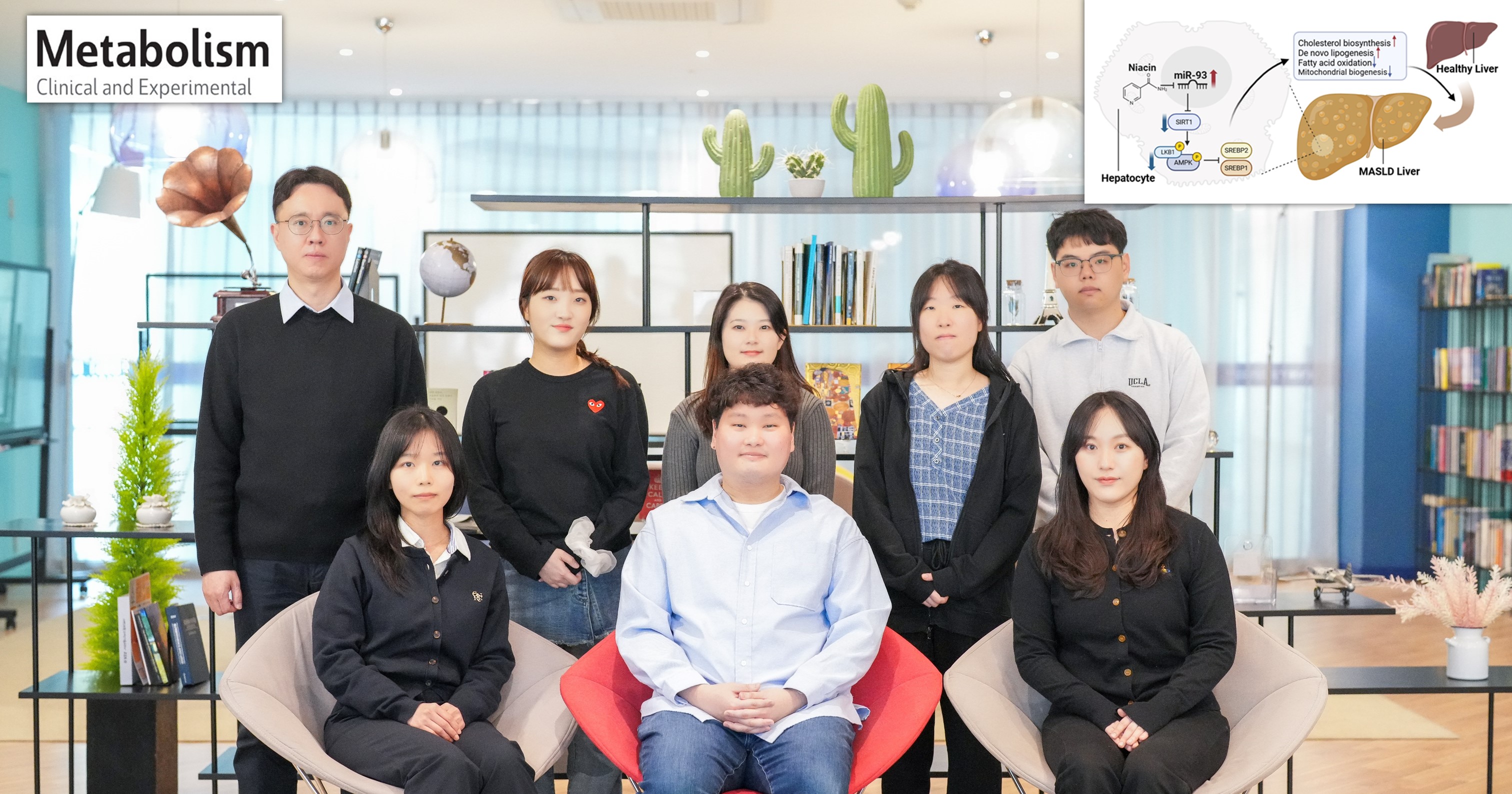 대사이상 지방간, 비타민만 먹어도 개선?.. 치료 표적 발굴