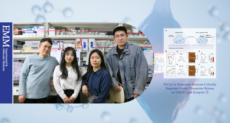 New Study Reveals Key Protein's Role in Regulating Dopamine Secretion!