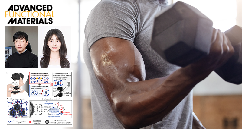 Revolutionary Artificial Muscle Can Switch from Soft to Rigid Like Steel, Offering Unprecedented Power and Flexibility