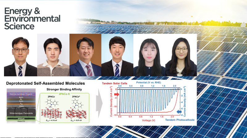Advanced Interface Engineering for High-Performance Solar Cells and Green Hydrogen