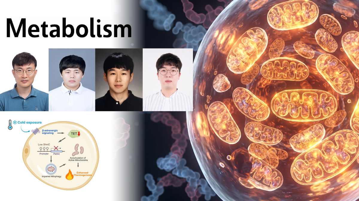Cold-Sensitive Epigenetic Pathway Regulates Heat Production in Fat