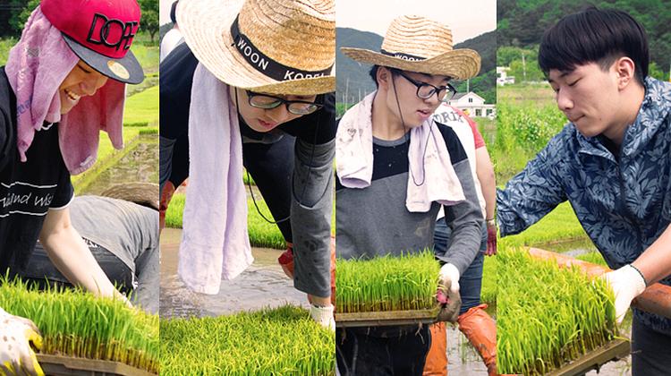 UNIST Students Find Purpose in Volunteer Work