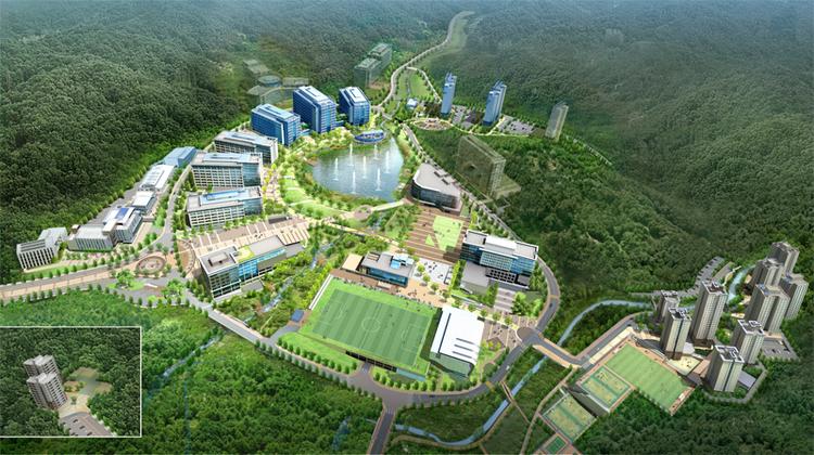 Transition to New Beginnings