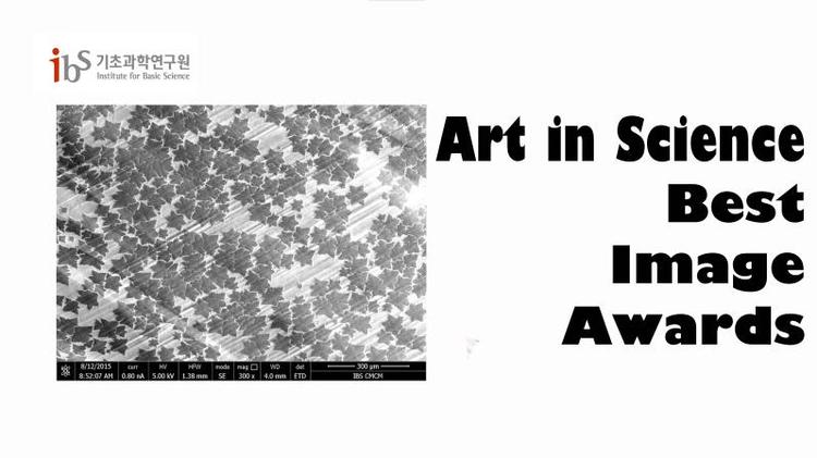 Science and Arts: More Alike than Different