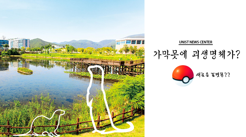 멸종위기 동물 가막못에 둥지 틀어