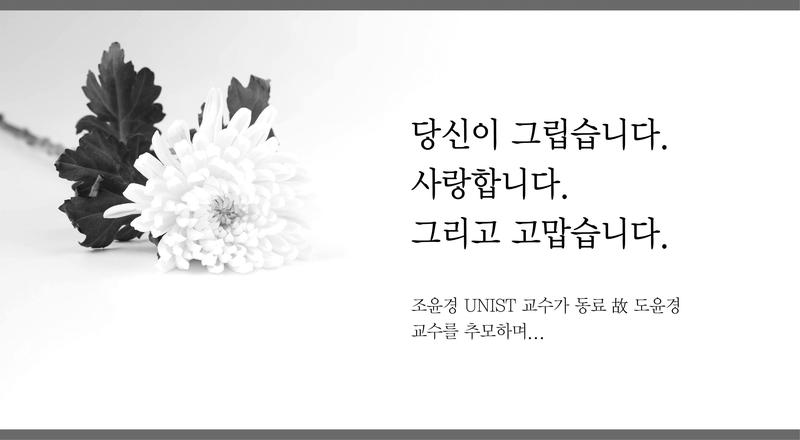 소중한 꿈 함께했던 우리, "당신은 우리 마음에 영원할 것"