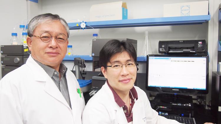 운동이 인체에 미치는 우울증 완화 원리 밝혀