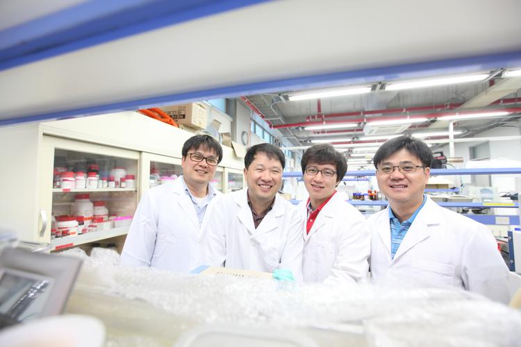 n형 그래핀 반도체 저비용 고효율 제작기술 개발 성공