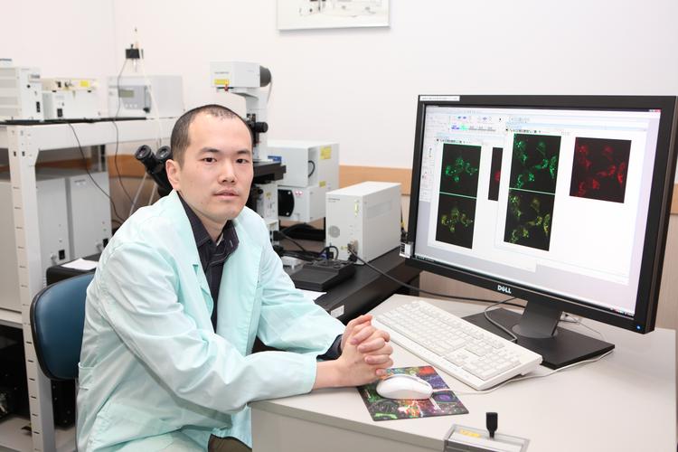 세포의 에너지 발전소 '미토콘드리아' 베일이 벗겨지다