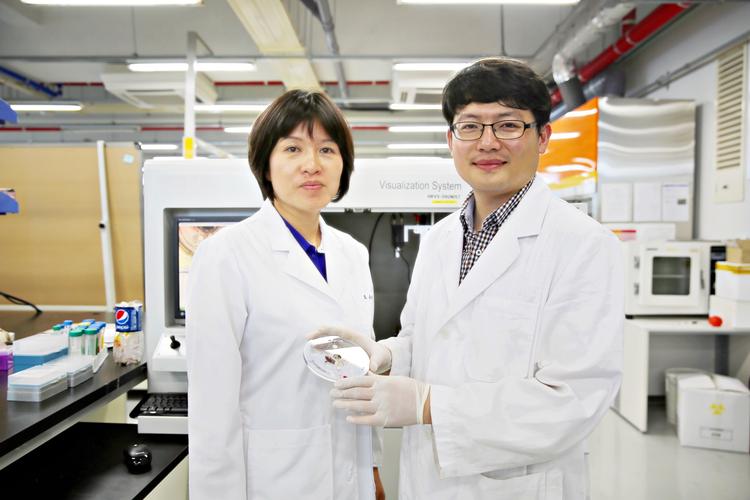 청소년 건강 위협하는 카페인, 레드카드 받다