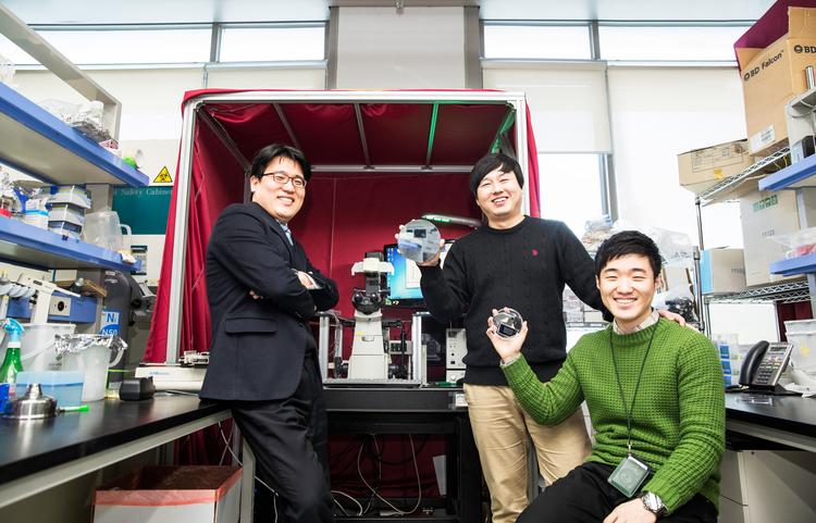 미세균열 조절해 한 폭의 ‘나노 세밀화’ 그린다