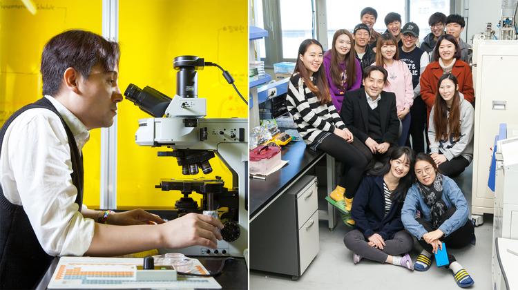 투명하고 안전한 전자피부