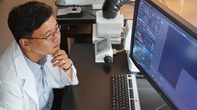 식물 뿌리서 추출한 ‘바이칼레인’으로 암 고친다