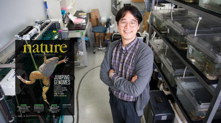 권태준 교수, 실험동물 ‘아프리카발톱개구리’ 유전체 해독!