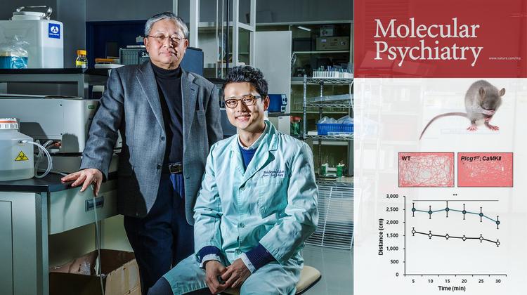 조울증 후보 유전자, 생쥐 실험에서 검증!