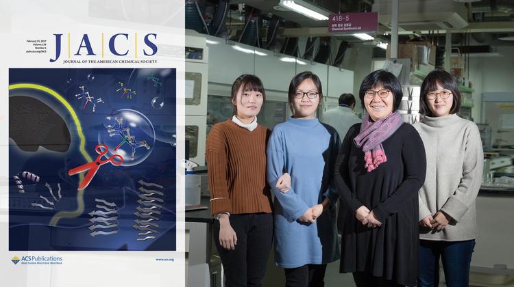 치매 단백질, 가위처럼 자르는 금속 착물 개발