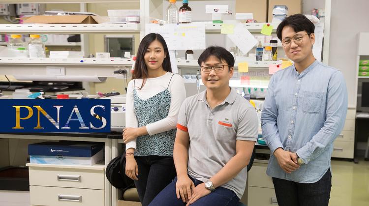 세포 내 물질이동 ‘막접촉점’서 직접 일어난다