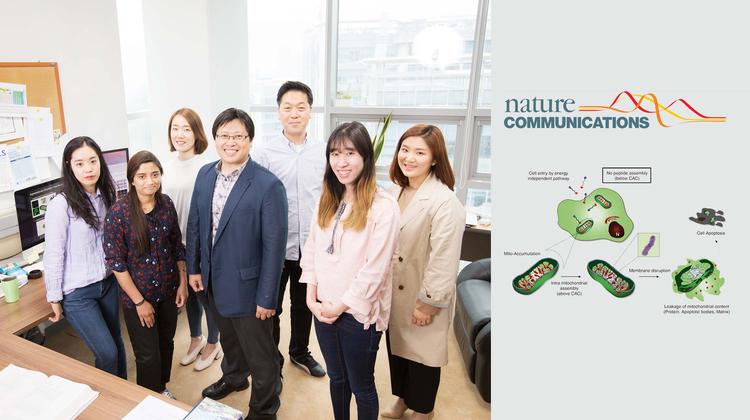 암세포 ‘밥줄’ 끊어 놓는다!… 새 항암치료법 개발