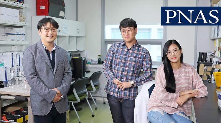 세포 속 ‘지방질 터널’ 구조 밝혔다