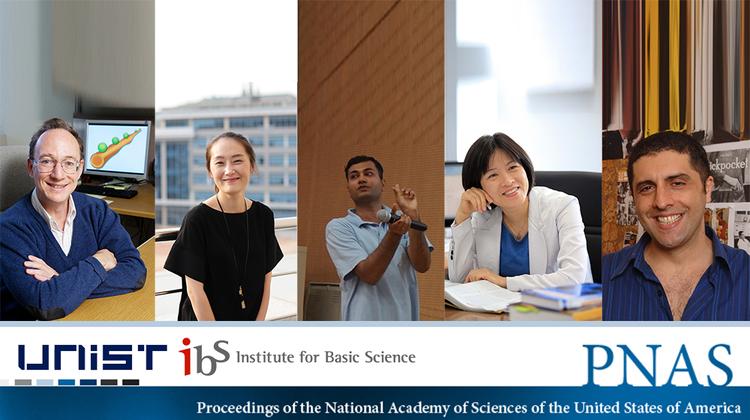 효소, 박테리아처럼 방향성 갖고 움직인다