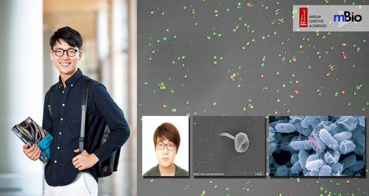 병원균 치료하는 착한 박테리아 ‘벨로’ 강력해지다.