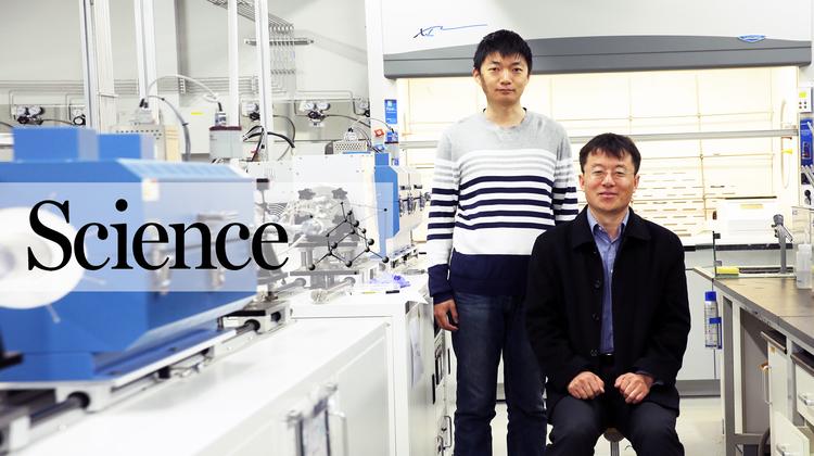 “다이아몬드를 구부리다”… 탄소 재료의 진화!